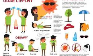Objawy udaru cieplnego: szybkie bicie serca, wymioty, skurcze, brak potu, zawroty głowy. Leczenie udaru cieplnego wymaga unikania słońca i nawadniania.