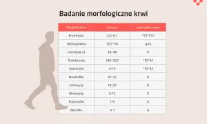 Tabela z wynikami badań z krwi: erytrocyty, hemoglobina, hematokryt, trombocyty, leukocyty i inne.