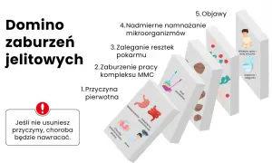 Domino zaburzeń jelitowych: od przyczyny pierwotnej, przez brak sprzątania i zaleganie resztek pokarmu, po nadmierne namnażanie mikroorganizmów, prowadzące do objawów jak wzdęcia i biegunki. Jeśli nie usuniesz przyczyny, choroba będzie nawracać.
