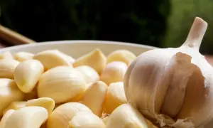 Czosnek w misce, gotowy do wykorzystania. Jego liczne właściwości czosnku czynią go cennym składnikiem w kuchni i medycynie naturalnej.
