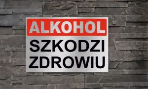 Tabliczka z napisem "ALKOHOL SZKODZI ZDROWIU" na tle kamiennej ściany. Przypomnienie o zagrożeniach.