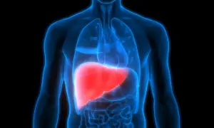 Naczyniak wątroby i jego potencjalne wsparcie przez ostropest plamisty. Anatomia ludzkiego ciała z uwydatnioną wątrobą.