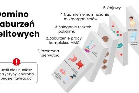 Domino zaburzeń jelitowych: od przyczyny pierwotnej, przez brak sprzątania i zaleganie resztek pokarmu, po nadmierne namnażanie mikroorganizmów, prowadzące do objawów jak wzdęcia i biegunki. Jeśli nie usuniesz przyczyny, choroba będzie nawracać.
