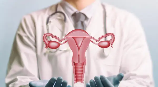 Lekarz w białym kitlu prezentuje model narządów rodnych kobiety. Pamiętaj o regularnej cytologii kiedy tylko poczujesz potrzebę lub zgodnie z zaleceniami lekarza.