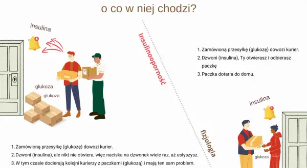 Ilustracja wyjaśnia insulinooporność: kurierzy z glukozą nie mogą się dostać do komórek (domu), bo insulina (dzwonek) nie działa.