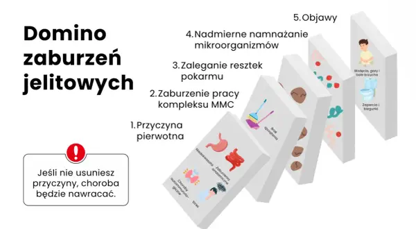 Domino zaburzeń jelitowych: od przyczyny pierwotnej, przez brak sprzątania i zaleganie resztek pokarmu, po nadmierne namnażanie mikroorganizmów, prowadzące do objawów jak wzdęcia i biegunki. Jeśli nie usuniesz przyczyny, choroba będzie nawracać.