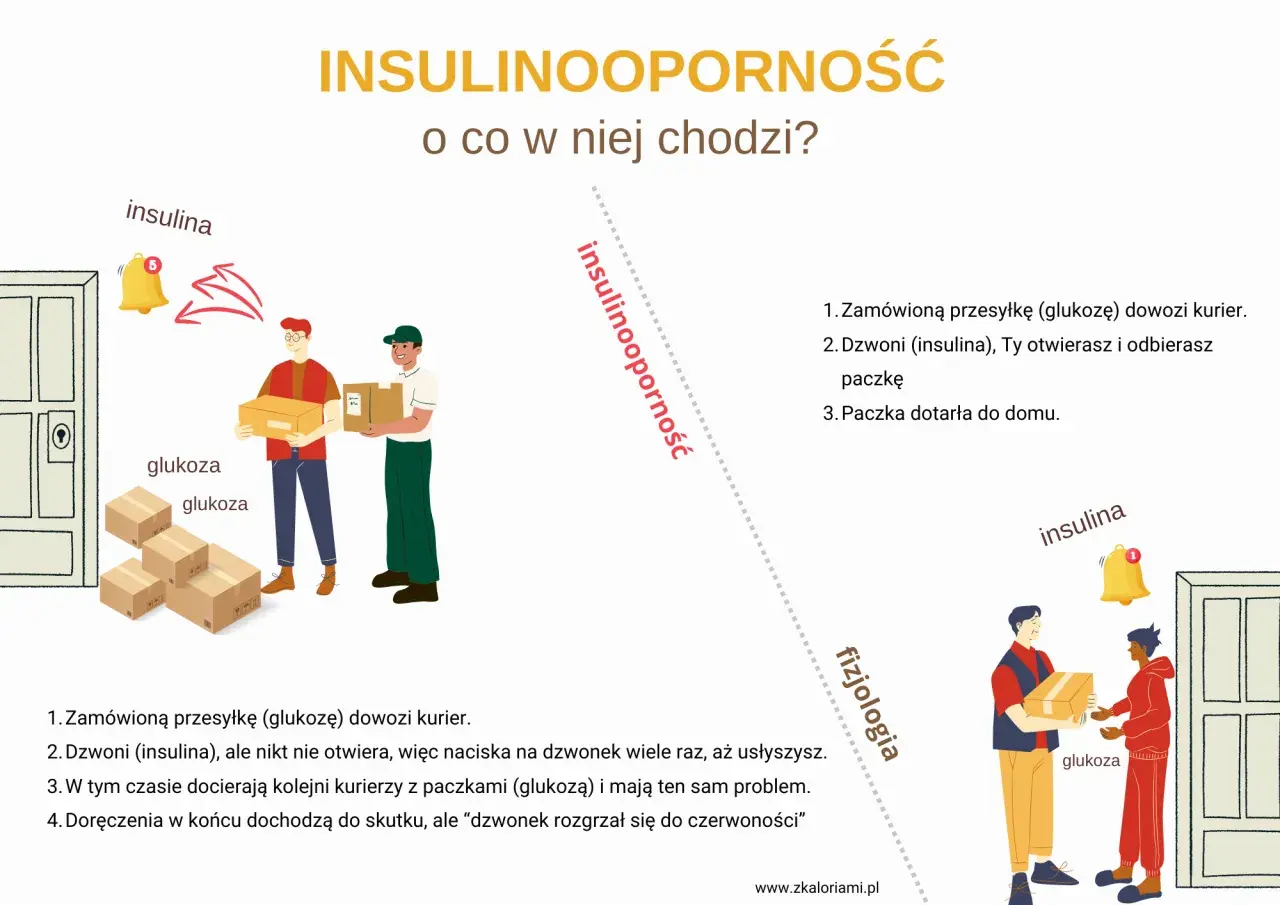 Ilustracja wyjaśnia insulinooporność: kurierzy z glukozą nie mogą się dostać do komórek (domu), bo insulina (dzwonek) nie działa.