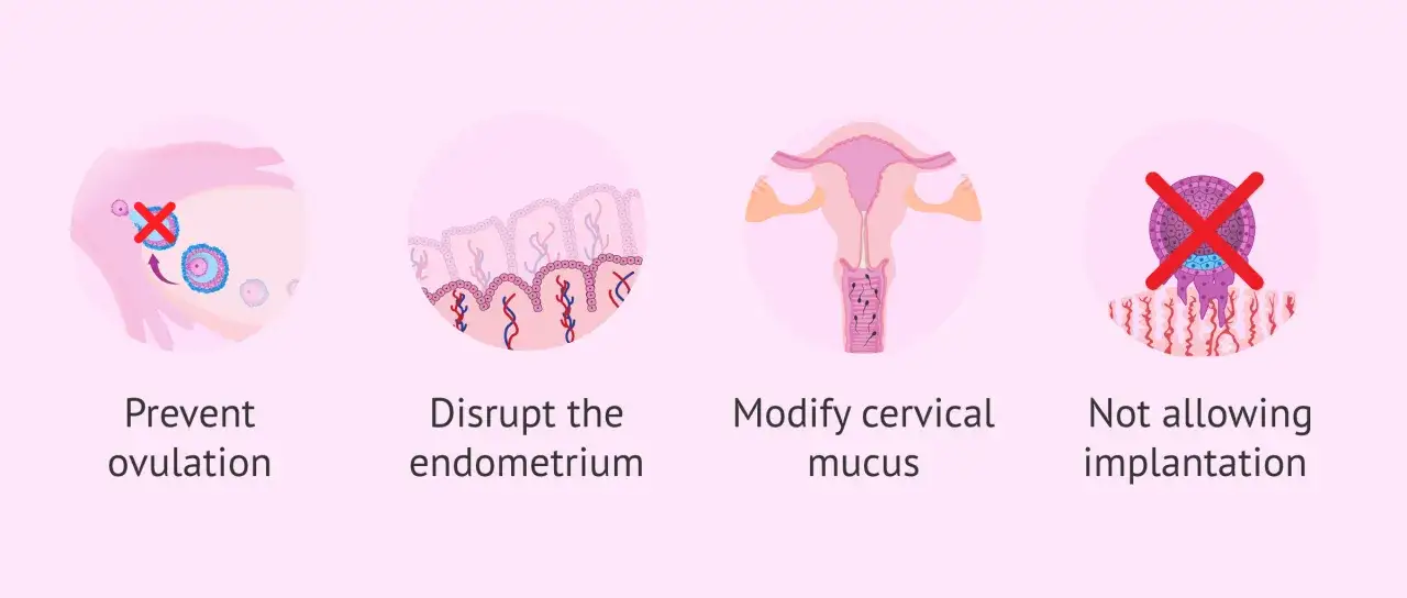 Jak działają tabletki antykoncepcyjne: zapobiegają owulacji, zmieniają endometrium, śluz szyjkowy i utrudniają implantację.