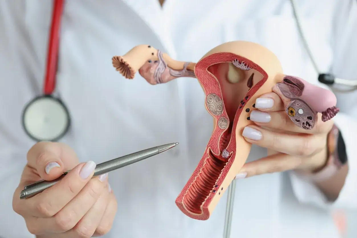 Model narządu rodnego kobiety. Lekarka omawia znaczenie cytologii po 70 roku życia, wskazując na model.