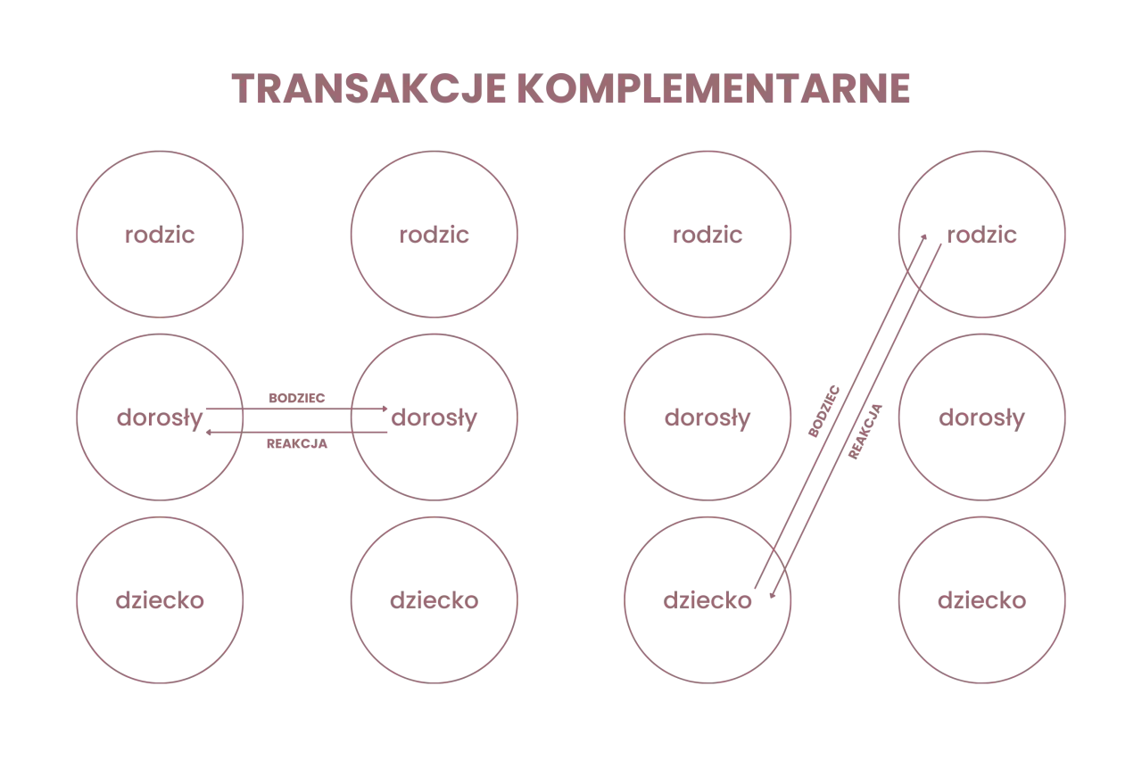 Diagram ilustrujący analizę transakcyjną: schemat transakcji komplementarnych między stanami 