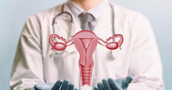 Lekarz w białym kitlu prezentuje model narządów rodnych kobiety. Pamiętaj o regularnej cytologii kiedy tylko poczujesz potrzebę lub zgodnie z zaleceniami lekarza.