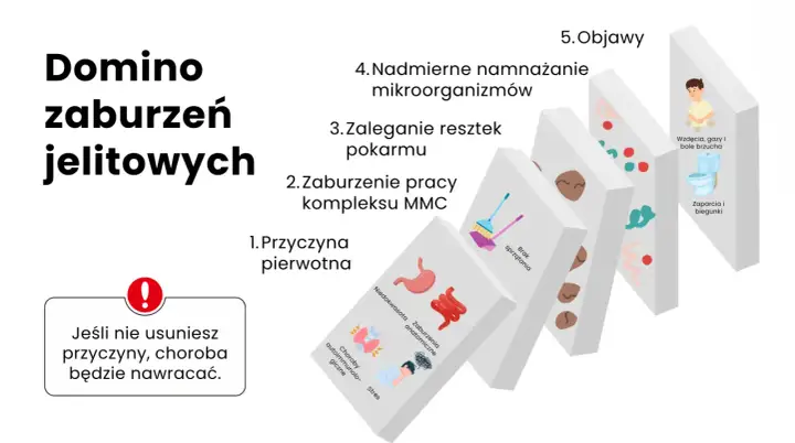 Domino zaburzeń jelitowych: od przyczyny pierwotnej, przez brak sprzątania i zaleganie resztek pokarmu, po nadmierne namnażanie mikroorganizmów, prowadzące do objawów jak wzdęcia i biegunki. Jeśli nie usuniesz przyczyny, choroba będzie nawracać.